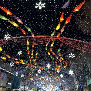 hwacheon local festival night view